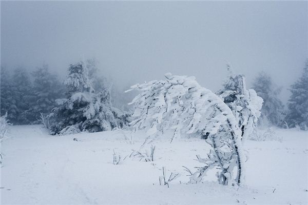 梦见暴风雪是什么意思