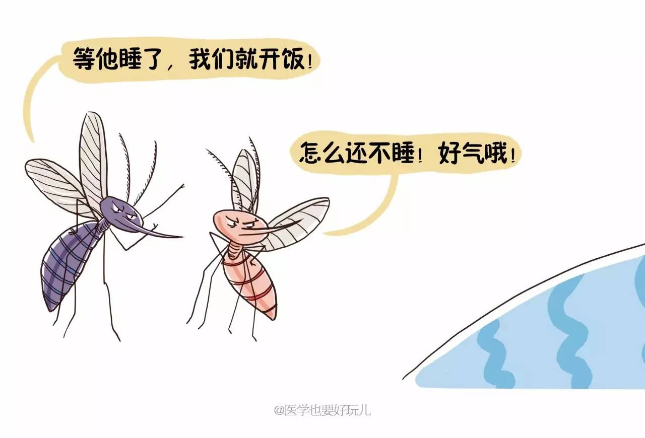 这么多人在一起，为什么蚊子会咬你？真正原因找到了，与血型无关