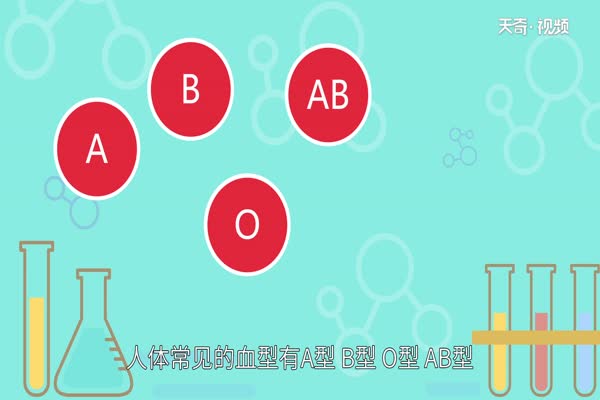 A、B、O 血型如何分类？ 专家为您详细解答！