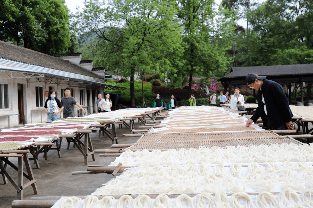 （安徽省研学旅游基地）就在永泉小镇