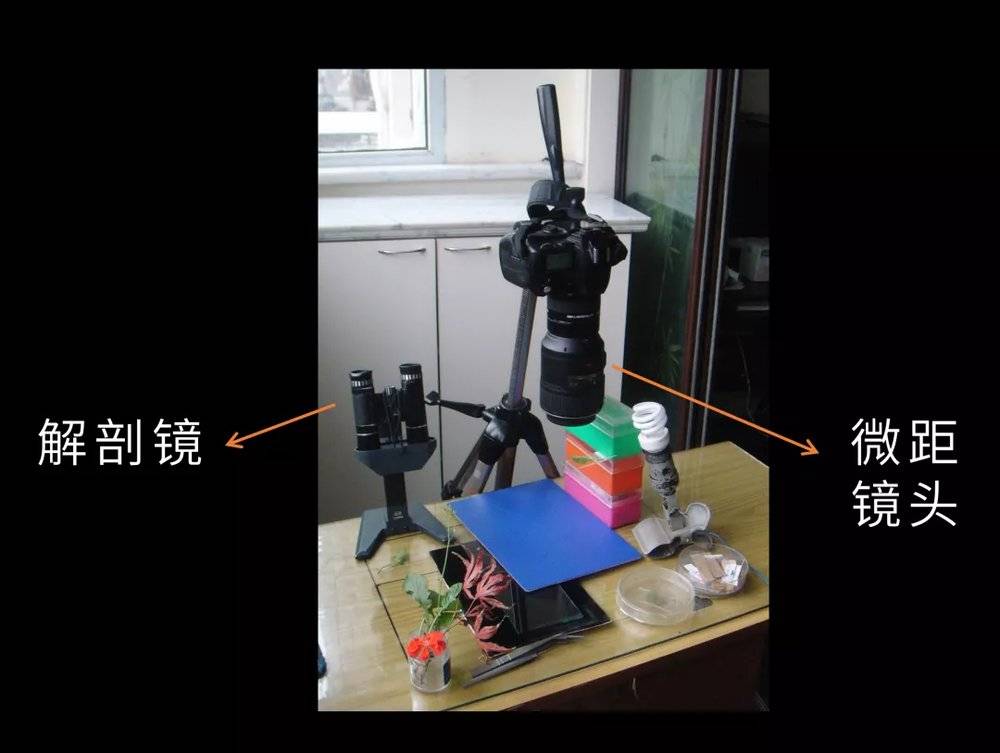 人们看到这个树会冒烟，觉得很不可思议，有人去磕头