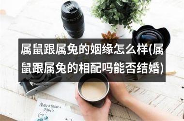 属鼠跟属兔的姻缘怎么样的知识，你知道吗