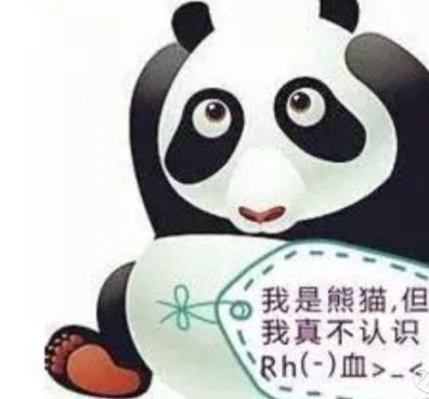 “熊猫血统”你懂吗？