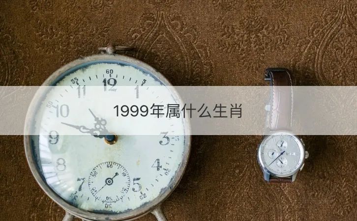 1999年属兔女适合什么生肖结婚？