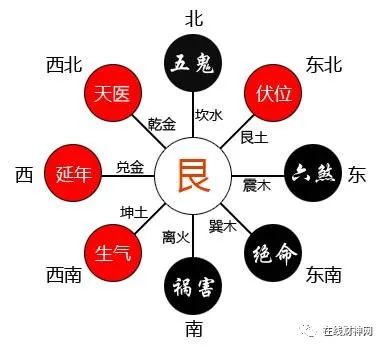 令人震撼
:2023 年兔年