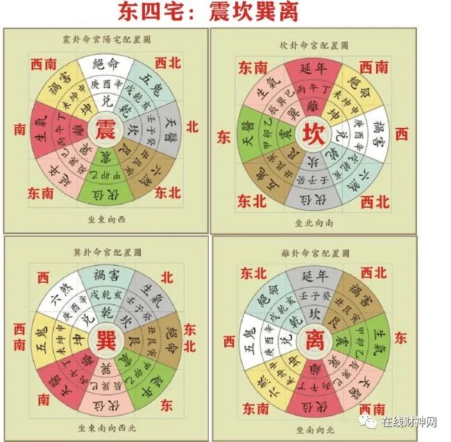 令人震撼
:2023 年兔年