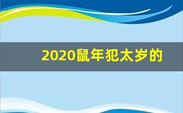 2020 鼠年