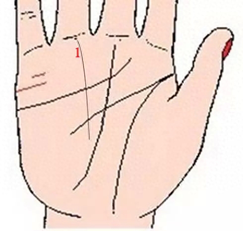 分享交流
:手纹代表财运，九条财运线预示着你可能会发财！