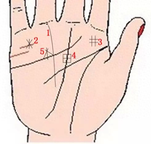 分享交流
:手纹代表财运，九条财运线预示着你可能会发财！