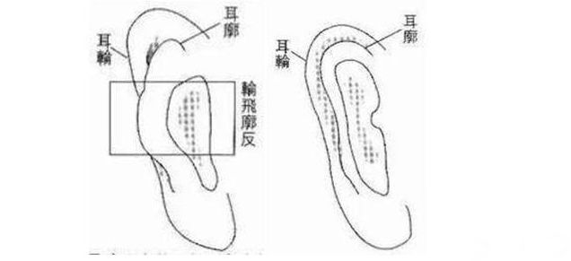 学习日志
:有事业心的女人脸