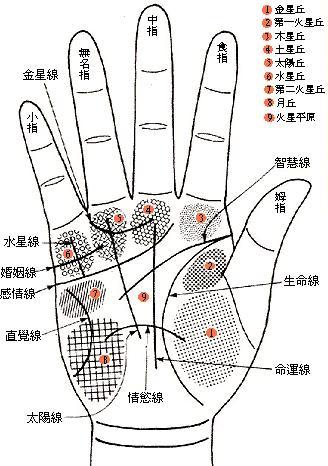 超全
:手相分析：太阳线/财富线分解