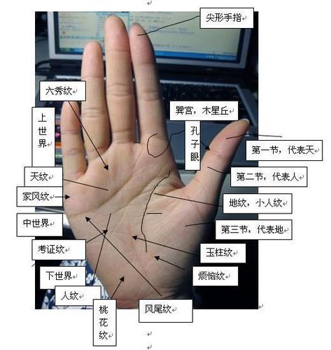 确实不错
:感情线与事业相切，感情线与事业线合二为一