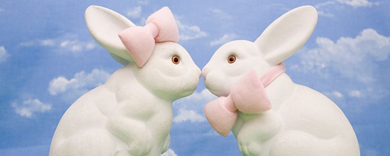 业界分享
:属兔男与属羊女的婚姻