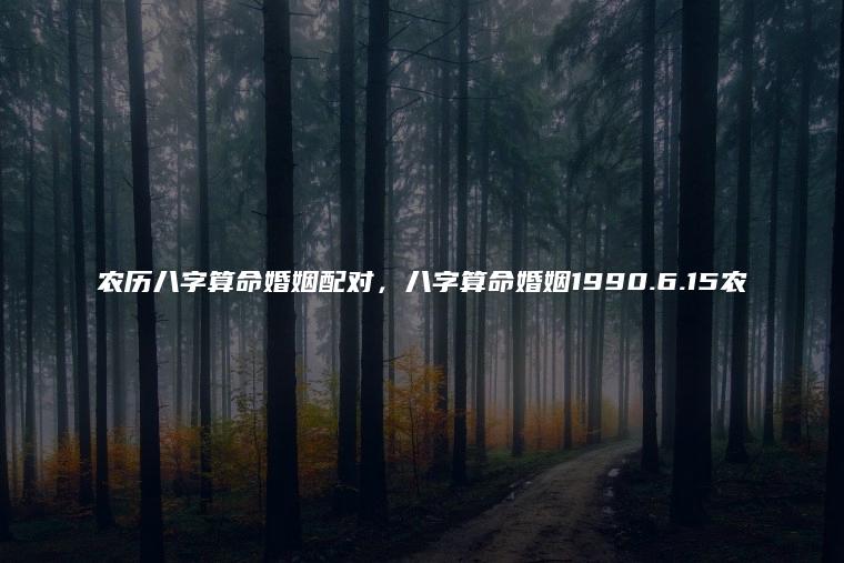 定制化方案
:农历八字算命婚姻配对，八字算命婚姻1990.6.15农