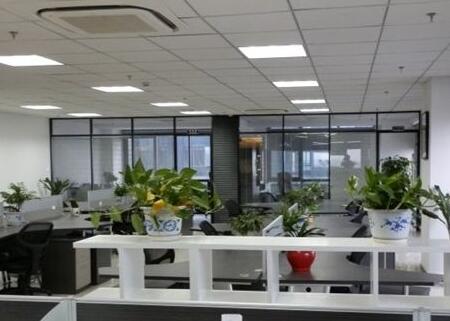办公室植物摆放风水？办公室放什么植物招财？