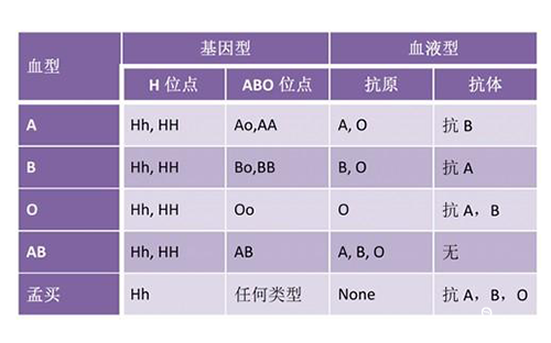 孟买血型有什么好处与危害？