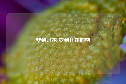 提前曝光
:梦见开花有什么寓意