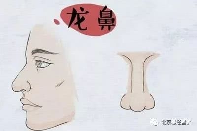 即将揭晓:好鼻子坏鼻子 八一八最有福气的鼻相是哪种