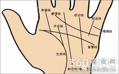 具体分析:财运线手掌图解析，财运线如何算命？