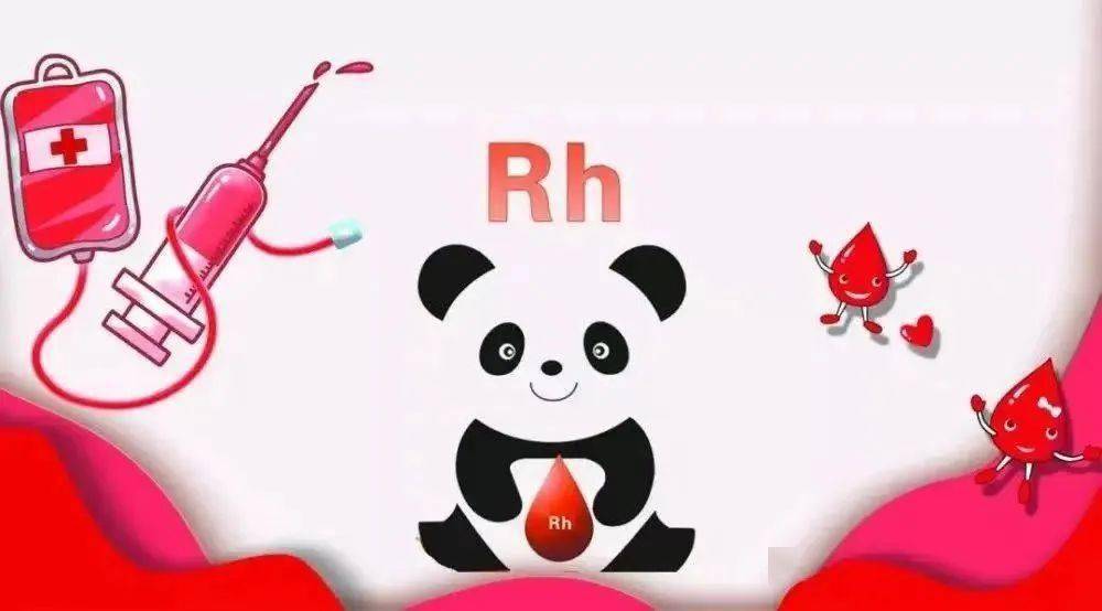 整套解决方案
:【科普】深度揭秘熊猫血——Rh血型