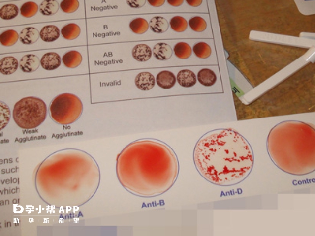 免费获取
:父母与子女血型对照表详解，一张图带你了解其中遗传规律！