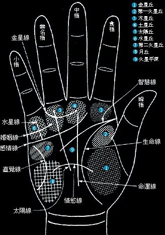 综合解决方案
:手相必看：最全的手掌纹路图解！