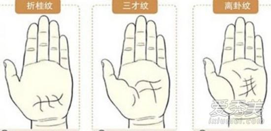 综合解决方案
:手相必看：最全的手掌纹路图解！