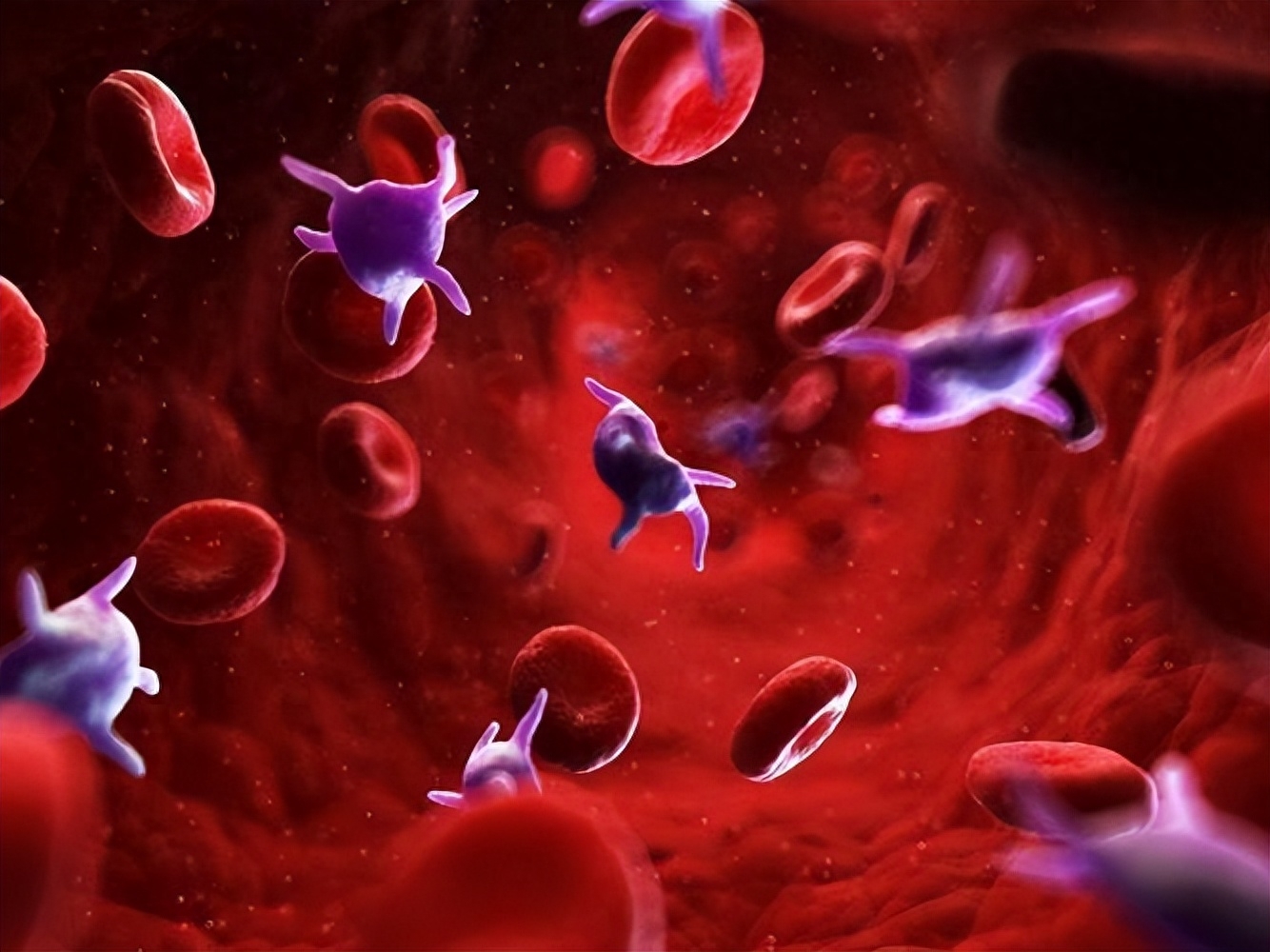 年度巨献
:血型暴露患癌风险？交大25年随访研究结果公布，提前祝贺O或B型血
