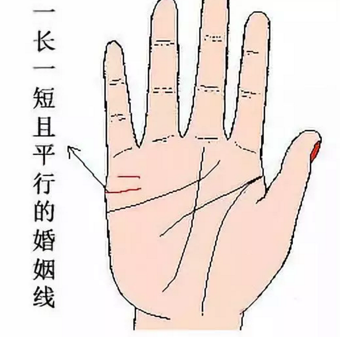 男人左手手纹算命图解婚姻线 一条婚姻线