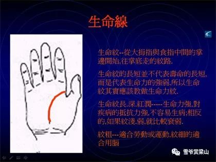 收获与感悟
:没想到吧,竟然来图解看手相了(手相全攻略)