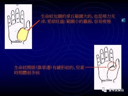 收获与感悟
:没想到吧,竟然来图解看手相了(手相全攻略)