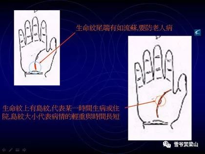 收获与感悟
:没想到吧,竟然来图解看手相了(手相全攻略)