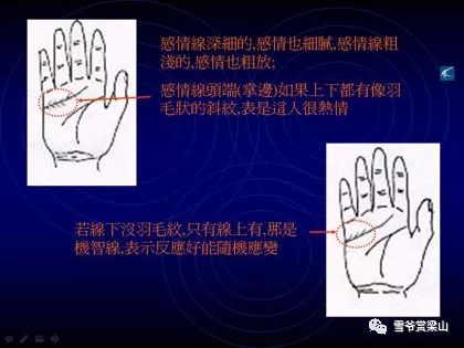 收获与感悟
:没想到吧,竟然来图解看手相了(手相全攻略)