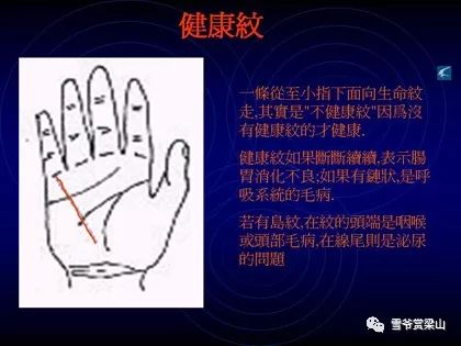 收获与感悟
:没想到吧,竟然来图解看手相了(手相全攻略)