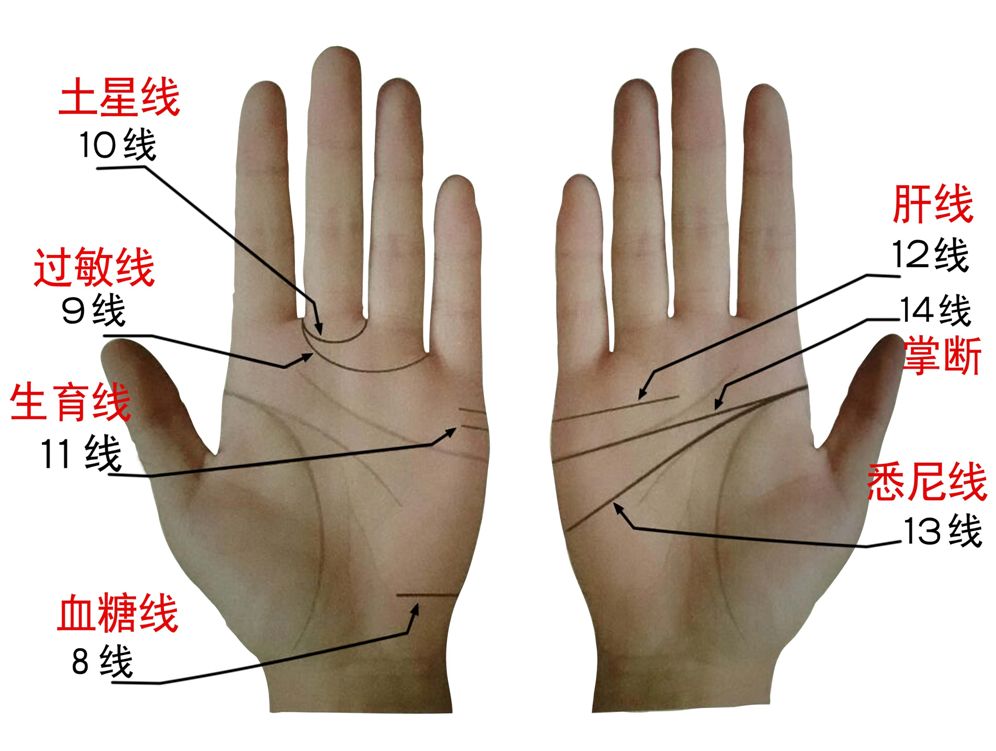 看女手相成功线,手相成功线分叉图解