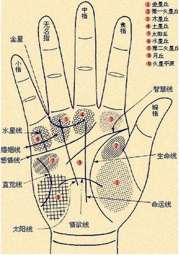 男人手相有痣相大全图解(男人手相图解大全)-星座123