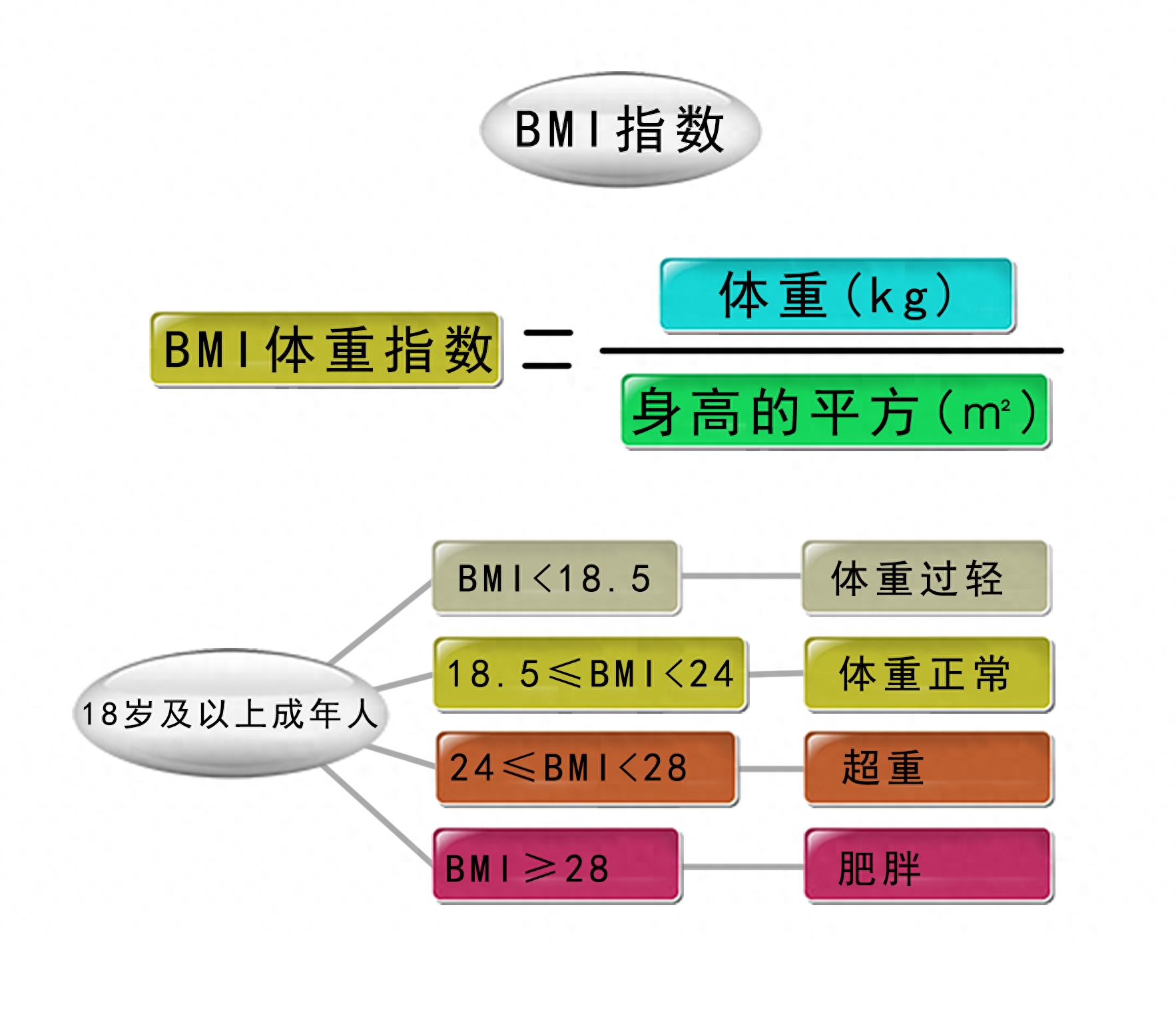 详细过程
:跟着科学来减肥（四）—常见的减肥方法原理