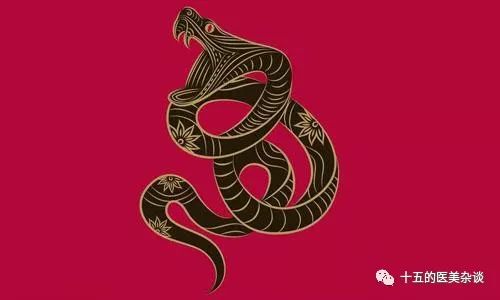 属蛇人的血型和性格特征