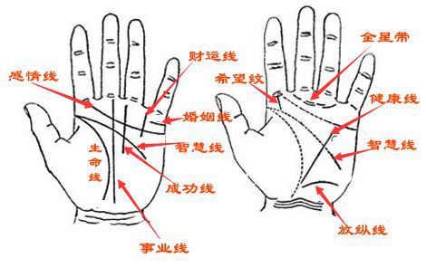 最富贵的12种手相特征 什么手相能大富大贵