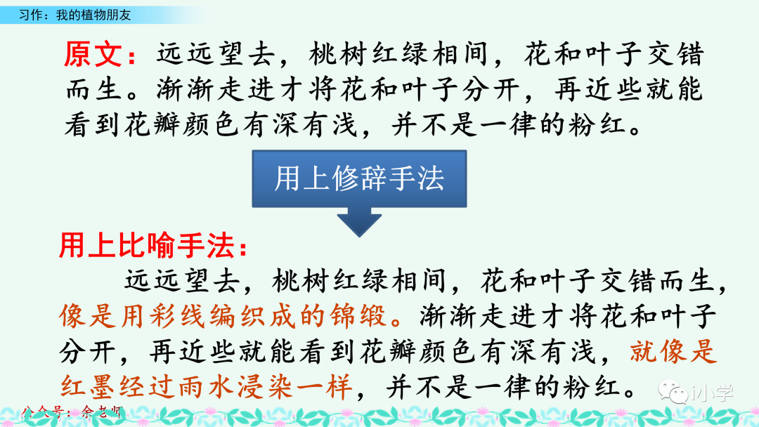 梦见茂盛的植物 自我鉴定
:统编语文三（下）第一单元习作《我的植物朋友》视频讲解+习作指导+范文