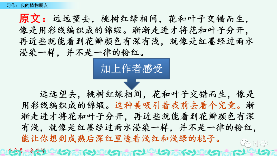 梦见茂盛的植物 自我鉴定
:统编语文三（下）第一单元习作《我的植物朋友》视频讲解+习作指导+范文