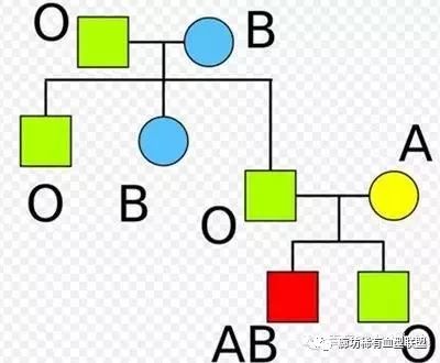 小收获
:爸爸是O型血，妈妈是B型血，孩子却是A型血？