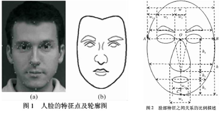 干货系列丨额头审美