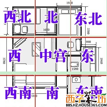 必看
:算命麦玲玲准还是李居明准