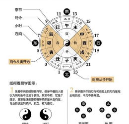 读书笔记
:易经数字风水 八字命理地支知识(易经命理风水课堂)