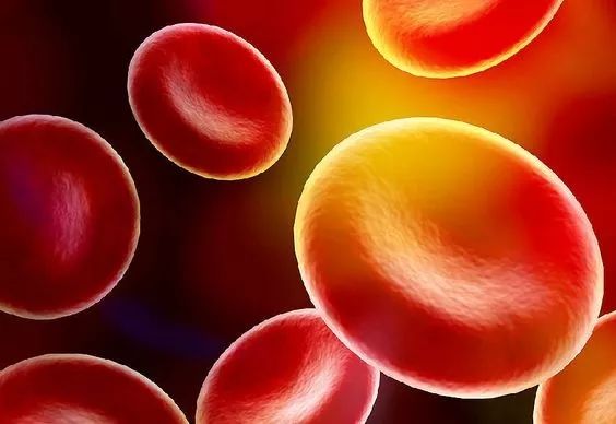 你不知道的秘密
:血型的发现史及常见血型的遗传方式