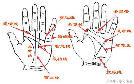 共同分享
:秒懂手相：从三大主线看命运走势