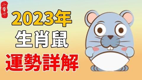 属鼠的人2023年全年/每月运程运势 十二生肖(属相)全年/每月运程运势