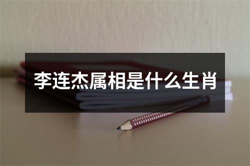 实践经验
:李连杰属相是什么生肖