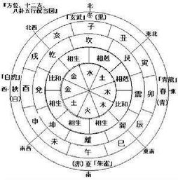 风水命理相术详解大全算命看相常识大全